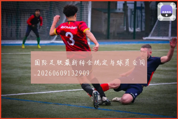 国际足联最新转会规定与球员合同_20260609132909